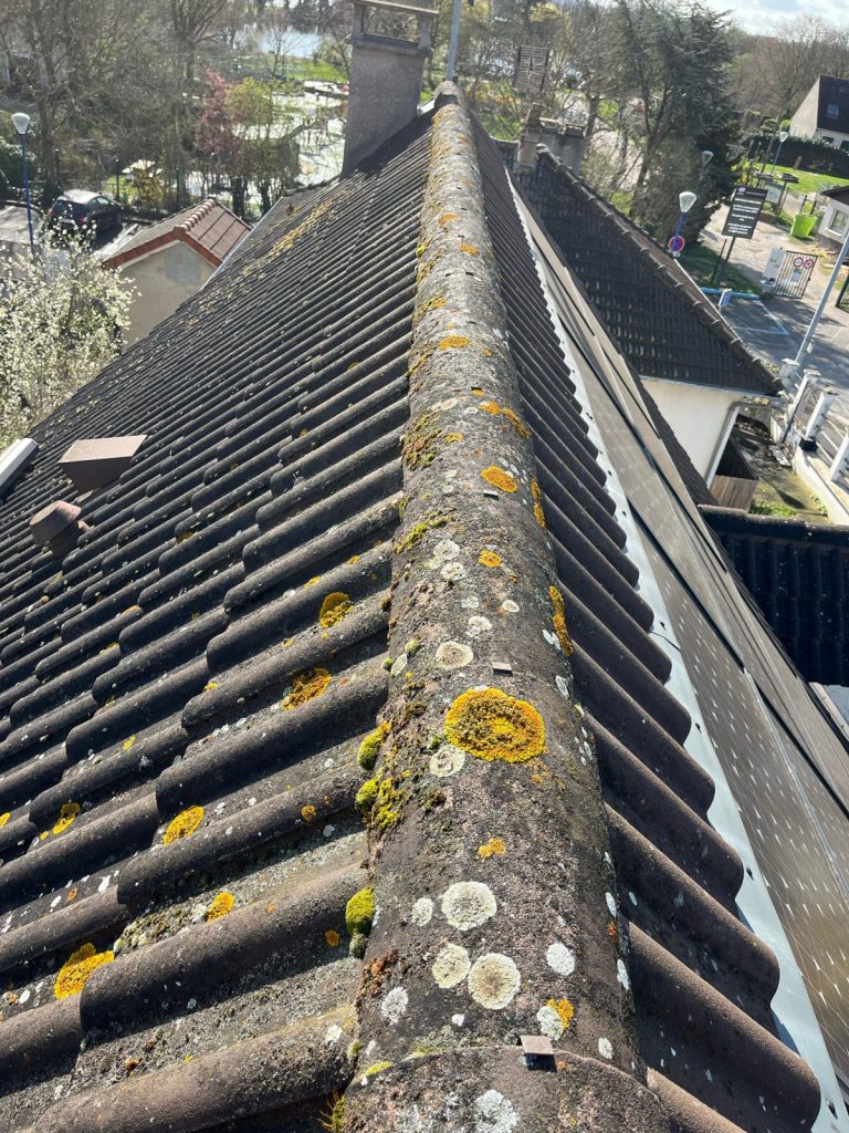 Couvreur Choisy le Roi - 94 - pose tuiles faitières sur toiture - avant